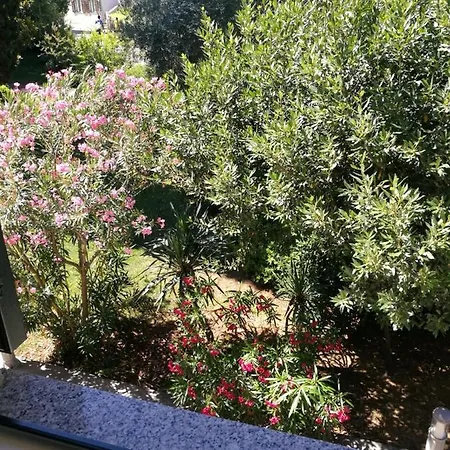 Apartman Lanterna *